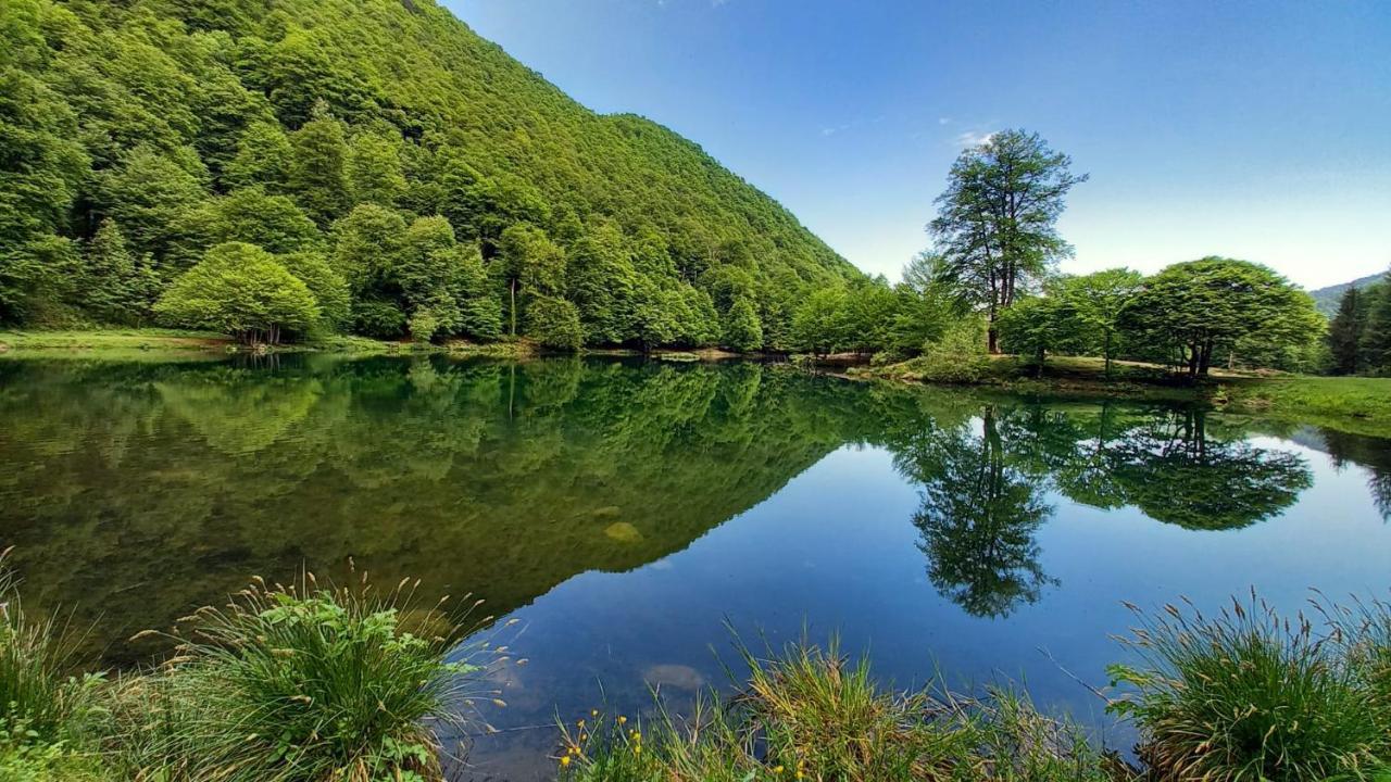 Le Jardin De Moulis, Saint Girons, Ariege, Pyrenees, Bed & Breakfast Bagian luar foto