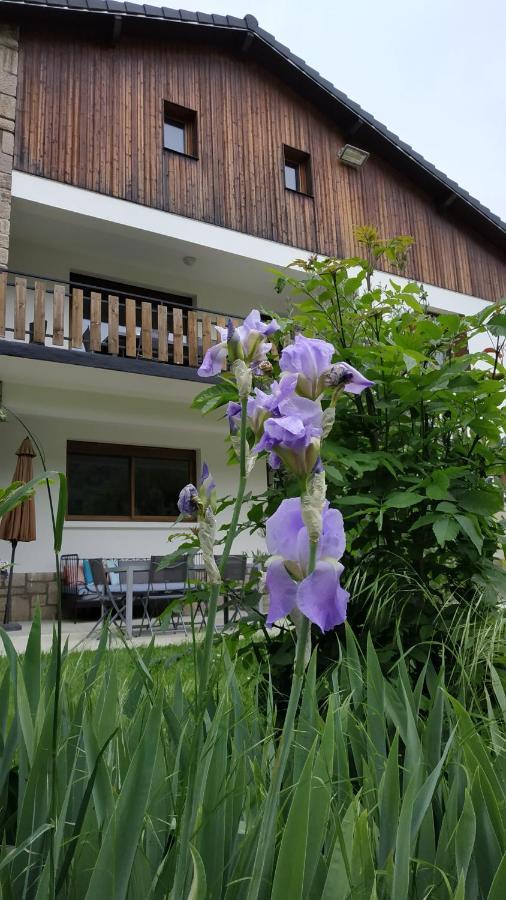 Le Jardin De Moulis, Saint Girons, Ariege, Pyrenees, Bed & Breakfast Bagian luar foto