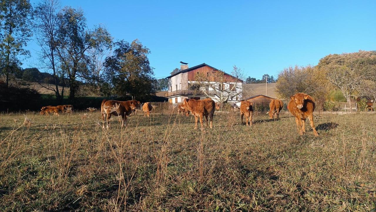 Le Jardin De Moulis, Saint Girons, Ariege, Pyrenees, Bed & Breakfast Bagian luar foto